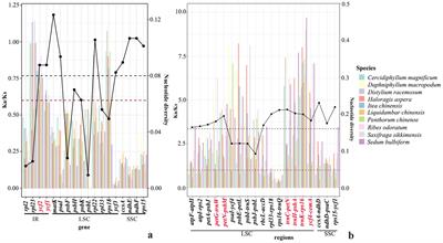 Whether niche changes promote the evolution of species: a case study of Paeonia in Asia and North America